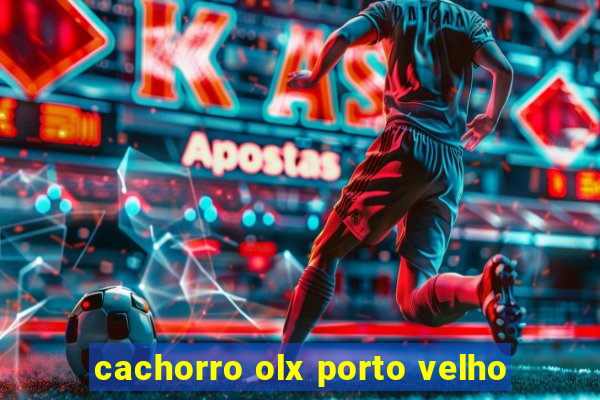 cachorro olx porto velho